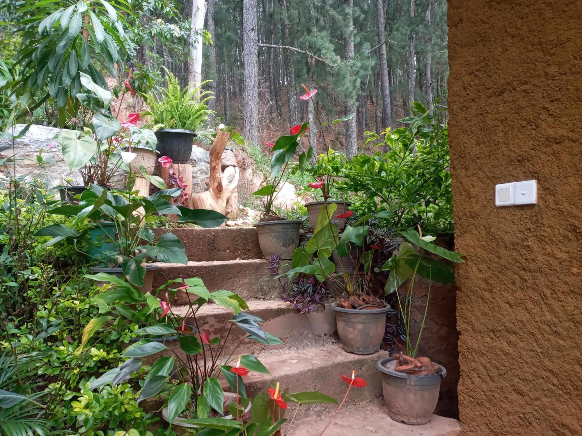 Nethsara Cottage Ella Exterior photo